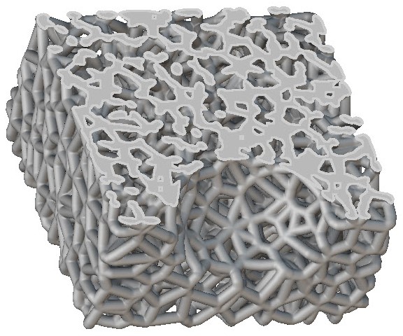 Voronoi Section.jpg