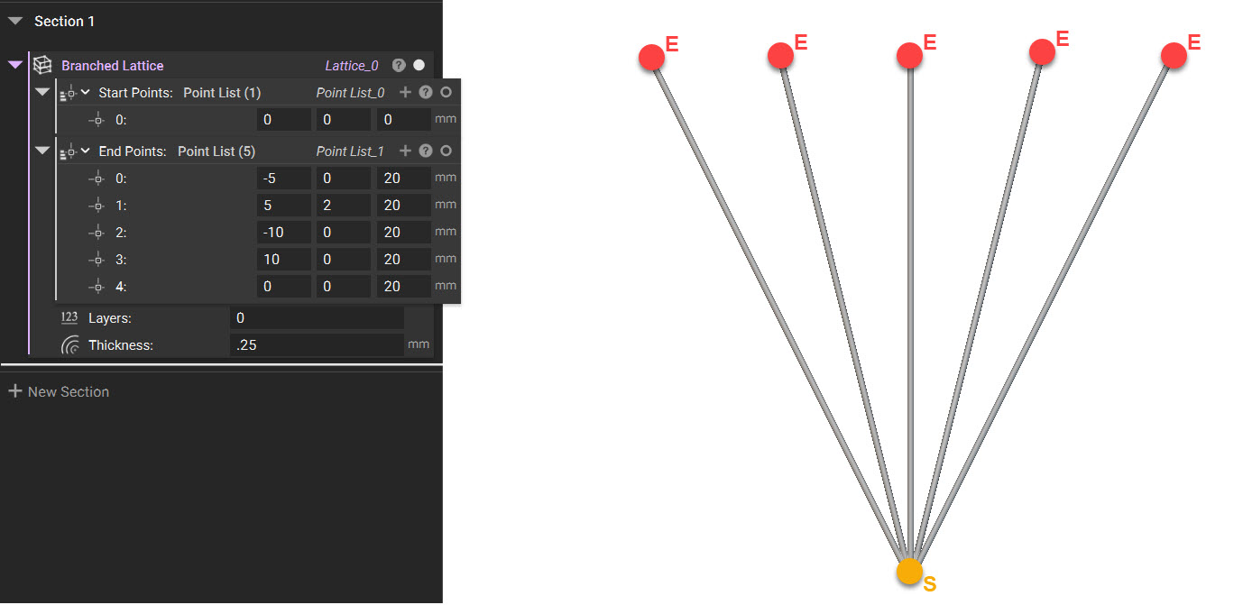 first branching.jpg